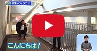 2020.3.1 uЂ傤MIvāIЂ傤 AE͂Ђ傤ŁiTer`lj