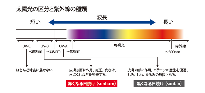 ۸ζʬȻ糰μ